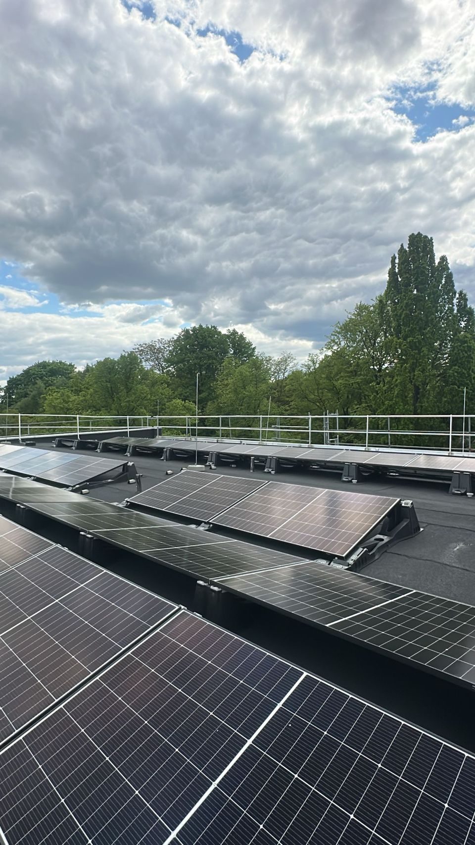 PV-Module in Reihen auf einem Flachdach